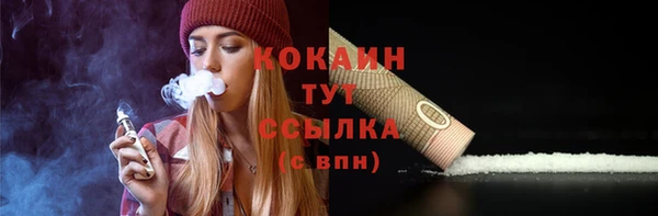 мяу мяу мука Новодвинск