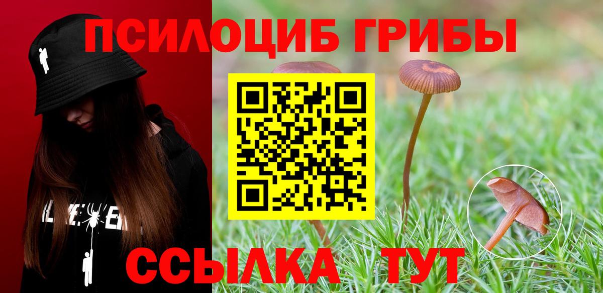 Южно-Сахалинск  Галлюциногенные грибы прущие грибы  купить  сайты  Галлюциногенные грибы Cubensis  Вход с VPN 
