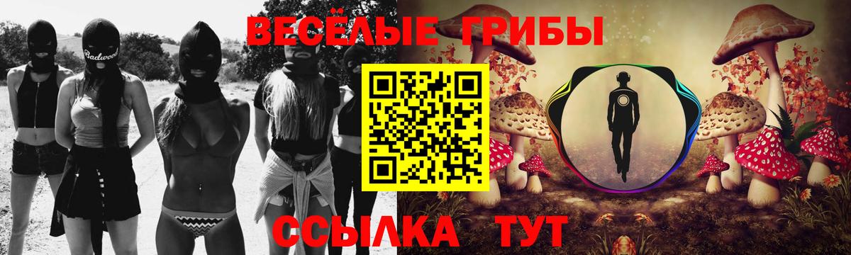 Галлюциногенные грибы мухоморы Южно-Сахалинск